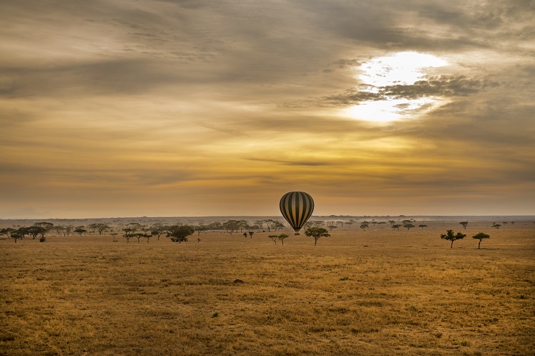  Serengeti-Nationalpark