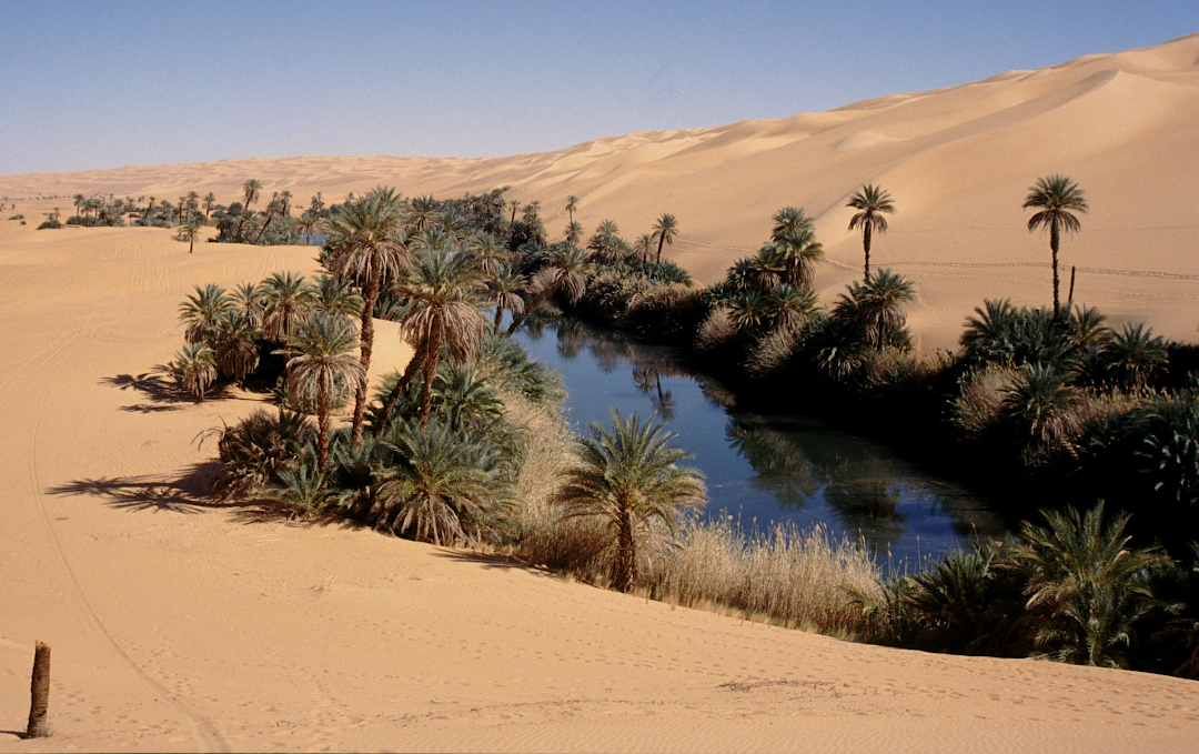 Oase in mitten der Wüste in Libyen