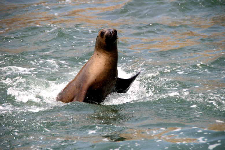 Islas Ballestas mit OVERCROSS Reiseveranstalter