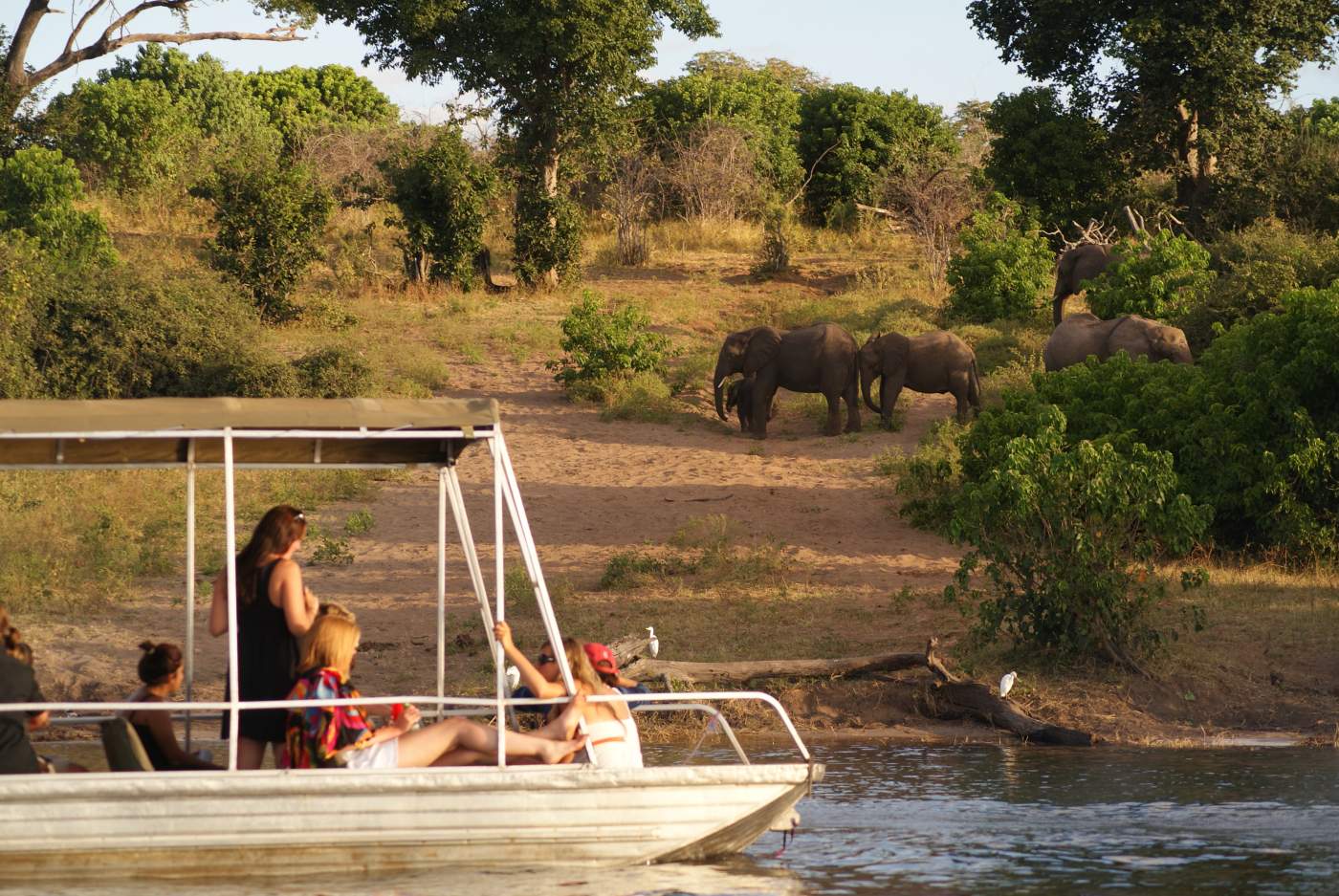 Bootsfahrt im Chobe Nationalpark Botswana Untouched Lodge Safari Rundreise