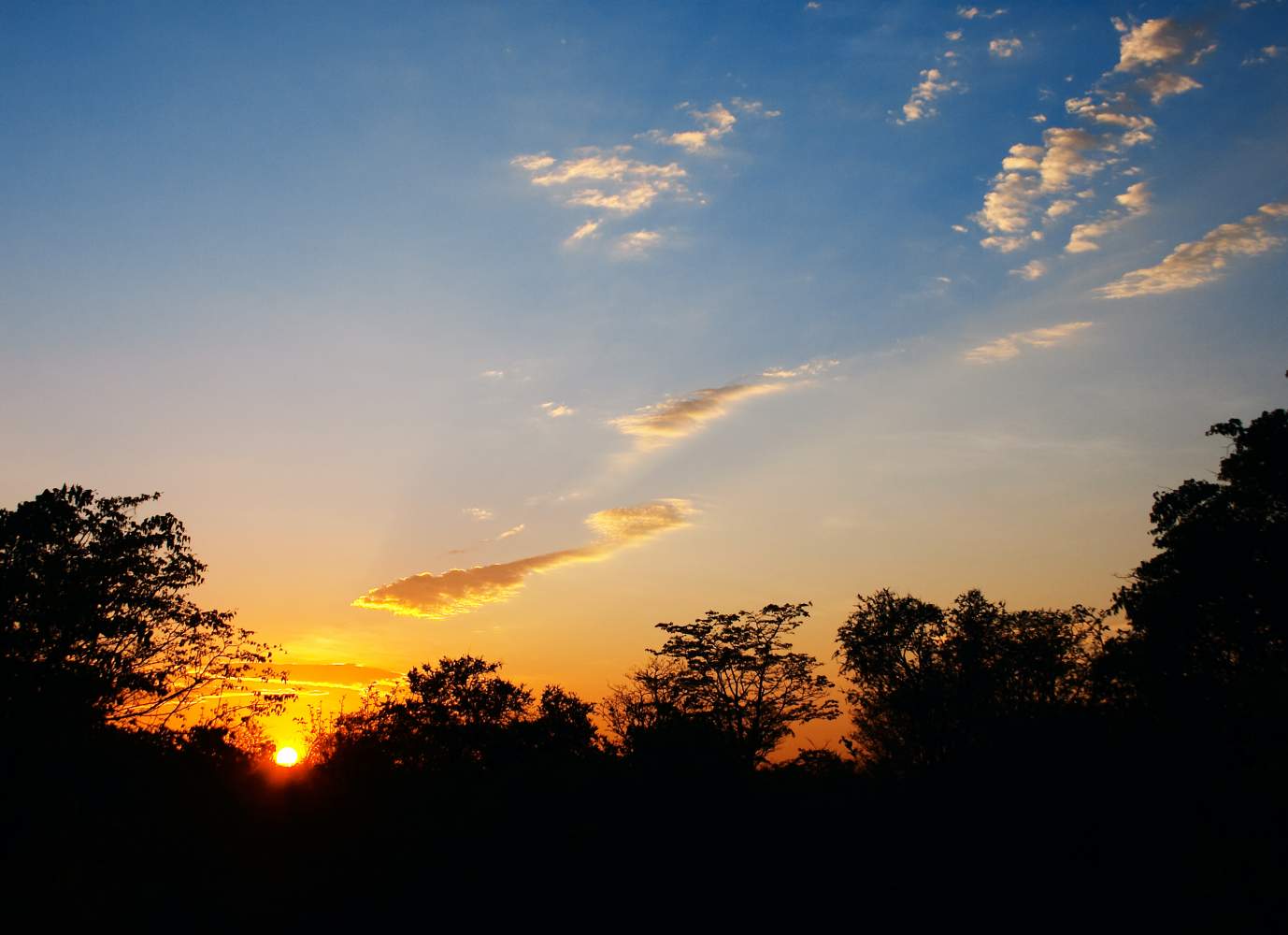 Sonnenaufgang im Moremi Wildtierreservat  Botswana Untouched Lodge Safari Rundreise