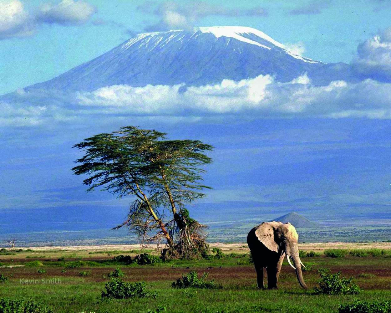 Gruppenreise Kenia, Tansania, Malawi, Sambia, Simbabwe: Ostafrika Abenteuer - Camping oder Lodge Safari