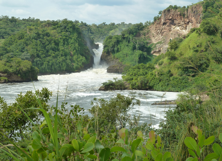 Murchison Falls Nationalpark auf der Rundreise in Uganda