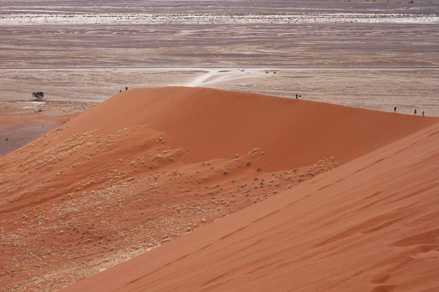 größte Dünen der Welt in Soussesvlei Namibia