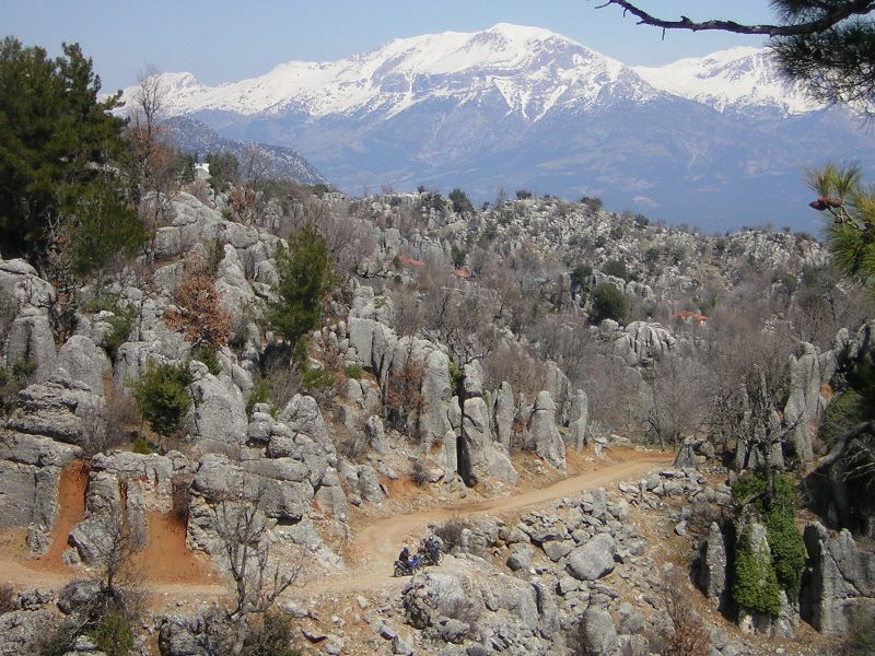 Flora Und Fauna der Türkei Taurusgebirge