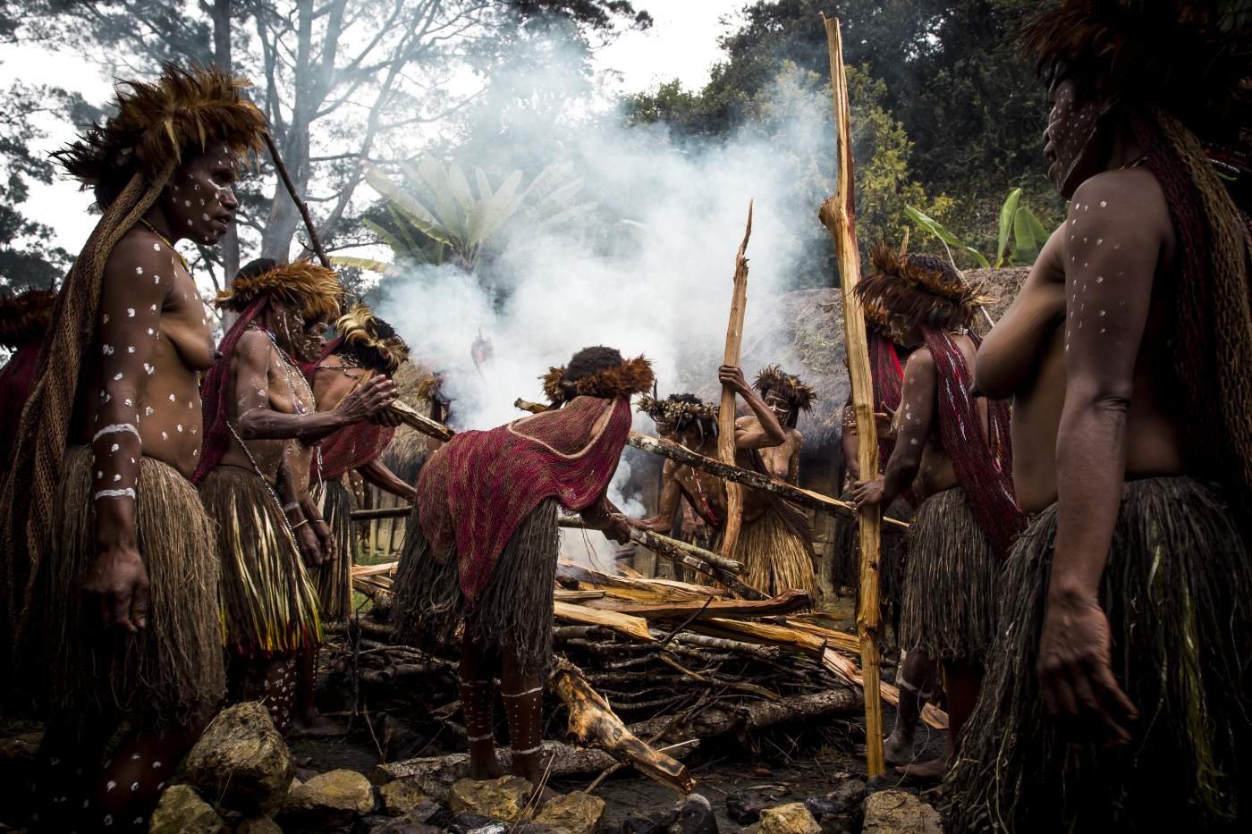 Das traditionelle Schweinekochfest ist ein Höhepunkt auf Ihrer West-Papua-Reise