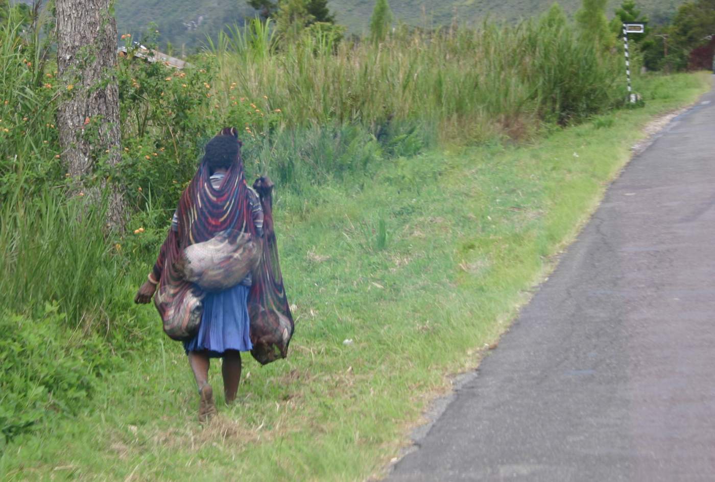 Die Dani-Frauen transportieren alles in ihren Tragenetzen, Wamena 