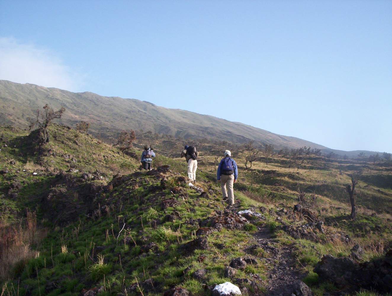 Aufstieg zum Kamerunberg, Kamerun