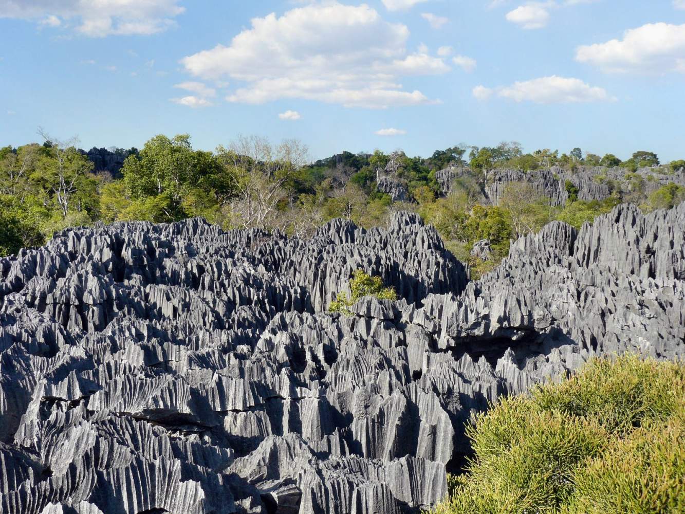 Felsformationen im Tsingy de Bemaraha Nationalpark